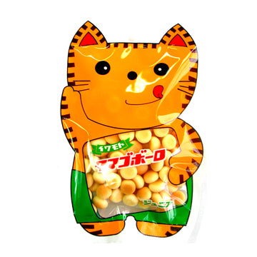 IWAMOTO Junia Boro Cat