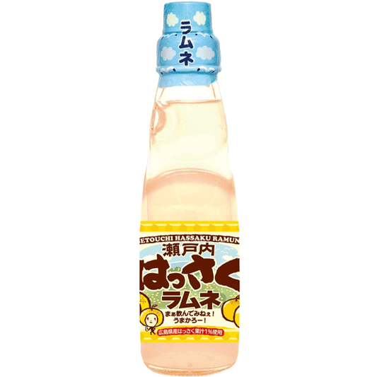 Saito Setouchi Orange Ramune